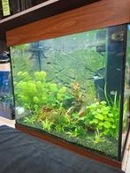 Juwel Lido 120, Dieren en Toebehoren, Vissen | Aquaria en Toebehoren, Ophalen, Zo goed als nieuw, Gevuld zoetwateraquarium