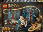 Lego Harry Potter Forbidden Forest Magical Creatures, Ophalen of Verzenden, Gebruikt, Complete set, Lego