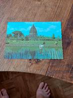 Ansichtkaart Indonesië  centraal Java Pramhanan tempel, Ophalen of Verzenden, Buiten Europa