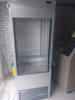 Professionele Koelkast - Horeca. True, Ophalen, Gebruikt, Koelen en Vriezen