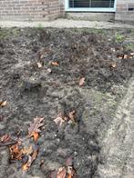 Gratis zand af te halen ongeveer 1,5 kuub, Ophalen of Verzenden, Ophoogzand