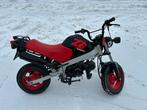 Originele Honda zb50 monkey (zb 50, dax, st50, ss50, monkey), Fietsen en Brommers, Ophalen, Gebruikt, Overige modellen, Maximaal 45 km/u