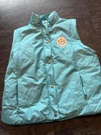 Maat M dames bodywarmer, Kleding | Dames, Bodywarmers, Ophalen of Verzenden, Zo goed als nieuw, Maat 38/40 (M)