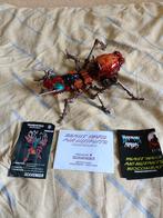 Transformers Beast Wars scavenger, Verzamelen, Transformers, Overige generaties, Ophalen of Verzenden, Zo goed als nieuw, Overige rassen