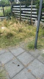 Tegel 50x50 - 50m2, Ophalen, Zo goed als nieuw, 10 m² of meer, Beton