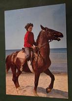 Vrouw rijdt op bruin paard op het strand, Verzamelen, Ansichtkaarten | Dieren, Verzenden, 1960 tot 1980, Gelopen, Paard