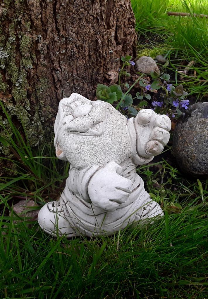 Tuinkabouter - tuin kabouter - gnome - dwerg - beeld - beton, Tuin en Terras, Tuinbeelden, Gebruikt, Tuinkabouter, Beton, Ophalen of Verzenden