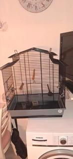 Prachtige vogelkooi, Ophalen, Zo goed als nieuw, Metaal, Vogelkooi