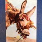 Ezels, Ophalen of Verzenden, Voor 1920, Gelopen, Hond of Kat