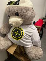 Grote Teddybeer Stone Island, Ophalen, Nieuw, Beer