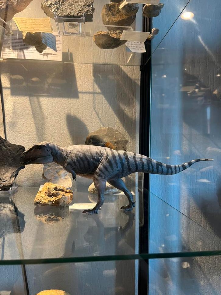 PNSO 1:35 Meraxes, Verzamelen, Poppetjes en Figuurtjes, Zo goed als nieuw, Ophalen of Verzenden