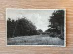 Gieten, In het Zwanenmeer achter de Dennen, 1940 tot 1960, Gelopen, Drenthe, Verzenden