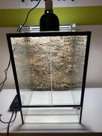 gezocht terrarium L40 x Breed 40 x hoogte 60 cm, Dieren en Toebehoren, Reptielen en Amfibieën | Toebehoren, Ophalen, Zo goed als nieuw