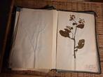 Een oud en uniek herbarium, Antiek en Kunst, Ophalen of Verzenden