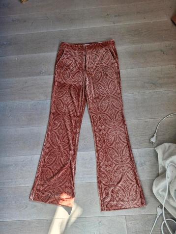 Flair broek van Costes beschikbaar voor biedingen