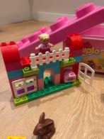Duplo roze opbergbak met inhoud 10571, Ophalen of Verzenden, Zo goed als nieuw, Complete set, Duplo