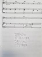 Het Groot Kinderbijbel Liedjes Muziekboek, Zang Piano., Zang, Ophalen of Verzenden, Zo goed als nieuw, Thema