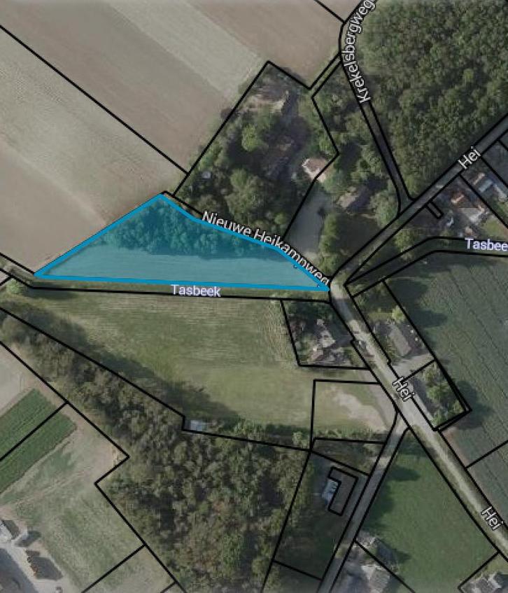 Weide te koop Kessel Eik, Dieren en Toebehoren, Paarden, Meerdere dieren, 0 tot 2 jaar