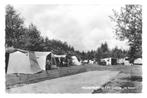 991103 Kraggenburg 1966 Camping De Voorst Gelopen met