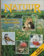 Natuur van maand tot maand - Planten & dieren in 4 seizoenen, Boeken, Natuur algemeen, Ophalen of Verzenden, Zo goed als nieuw