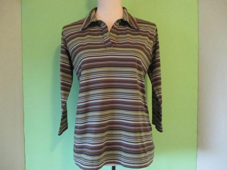 Promiss top maat XXL, Kleding | Dames, Tops, Zo goed als nieuw, Maat 46/48 (XL) of groter, Overige kleuren, Lange mouw, Verzenden