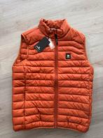 Vanguard bodywarmers, Maat 48/50 (M), Nieuw, Ophalen of Verzenden, Vanguard
