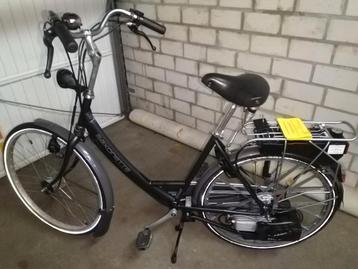 Saxonette Luxus. beschikbaar voor biedingen