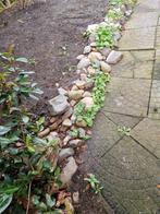 Sierkeien en vijverstenen gratis, Tuin en Terras, Grind, Keien en Split, Ophalen of Verzenden, Zo goed als nieuw, Overige materialen