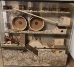 Chinchilla terrarium of grote degoe kooien kopen, Dieren en Toebehoren, 110 cm of meer, Nieuw, Ophalen of Verzenden, 90 cm of meer