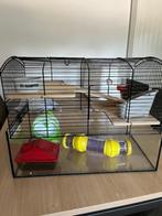 Hamsterkooi, Dieren en Toebehoren, Knaagdieren, Geslacht onbekend, Hamster, Voor 1 juli 2024