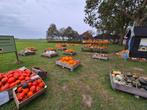 POMPOENEN VAN DE BOERDERIJ  met PUMPKIN PATCH, Eén persoon, Ticket of Toegangskaart