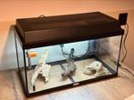 Juwel aquarium 54L, Dieren en Toebehoren, Ophalen, Zo goed als nieuw, Leeg aquarium