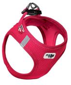 Curli hondentuigje, Ophalen, Zo goed als nieuw, Hondenriem