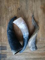 Decoratieve Hoorns - Hoorn, Ophalen of Verzenden