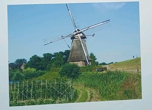 Waardenburg ( Gld. ) foto korenmolen, Verzenden, 1980 tot heden, Foto, Zo goed als nieuw