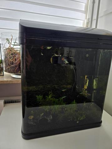 Aquarium + Vissen + Alle benodigdheden beschikbaar voor biedingen