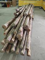 Stamhout palen ronde balken hout, Ophalen, Gebruikt, 250 cm of meer, Palen