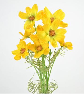 COSMEA - KUNST - ZONNIG GEEL beschikbaar voor biedingen