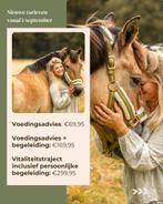 Voedingsadvies voor jouw paard - Persoonlijk & onafhankelijk, Ophalen, Nieuw