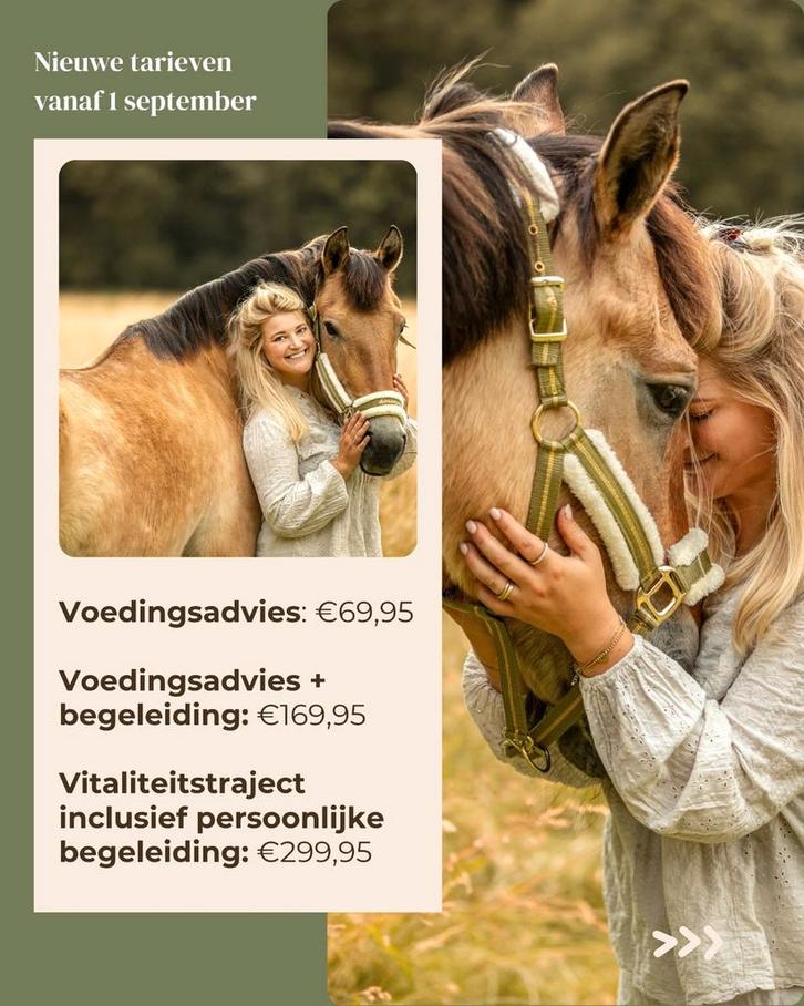 Voedingsadvies voor jouw paard - Persoonlijk & onafhankelijk, Dieren en Toebehoren, Paarden en Pony's | Verzorgingsproducten, Nieuw