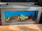 Aquarium juwel 450 liter, Ophalen, Zo goed als nieuw, Gevuld zoetwateraquarium
