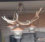 Mooie Grote Geweien Lamp met veel Enders, Ophalen