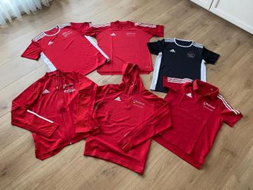Sportkleding Jas Shirt Hoody Polo ROC Mondriaan maat M zgan beschikbaar voor biedingen