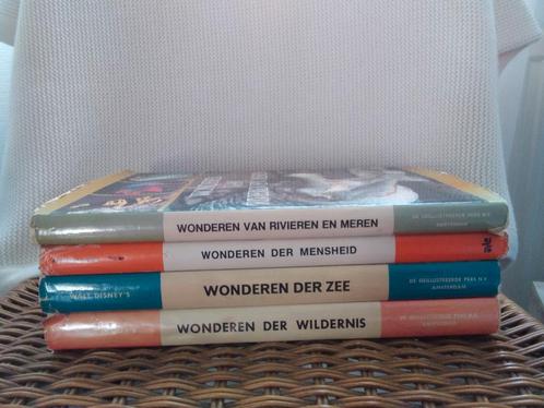 2 Walt Disney en 2 andere boeken Wonderen, Boeken, Kinderboeken | Kleuters, Gelezen, Sprookjes, Ophalen of Verzenden