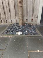 2 vierkante meter Canadian split, Ophalen, Gebruikt, Split, Basalt