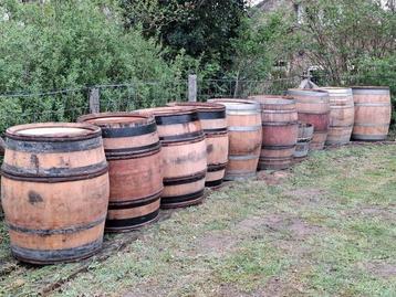Regentonnen van bourgogne eiken wijnvaten beschikbaar voor biedingen