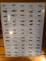 Mooie grote poster met insecten in lijst., Antiek en Kunst, Antiek | Schoolplaten, Natuur en Biologie, Ophalen of Verzenden