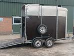 Ifor Williams HB 505R 2 paards trailer, Ophalen, Gebruikt, Hout, 2-paards trailer