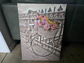 Canvas GRATIS 50,5x70 cm fiets bloemen sepia/kleur beschikbaar voor biedingen