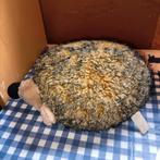 Vintage egel knuffel L. Dake Amsterdam 27 cm groot, Kinderen en Baby's, Speelgoed | Knuffels en Pluche, Ophalen of Verzenden